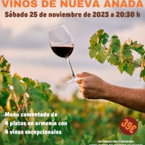 Cena Maridaje de Vinos en Almagro