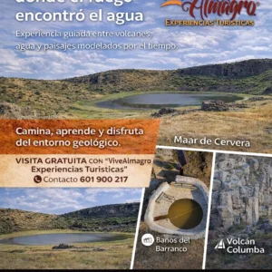 diputacion sin precio y sin nada